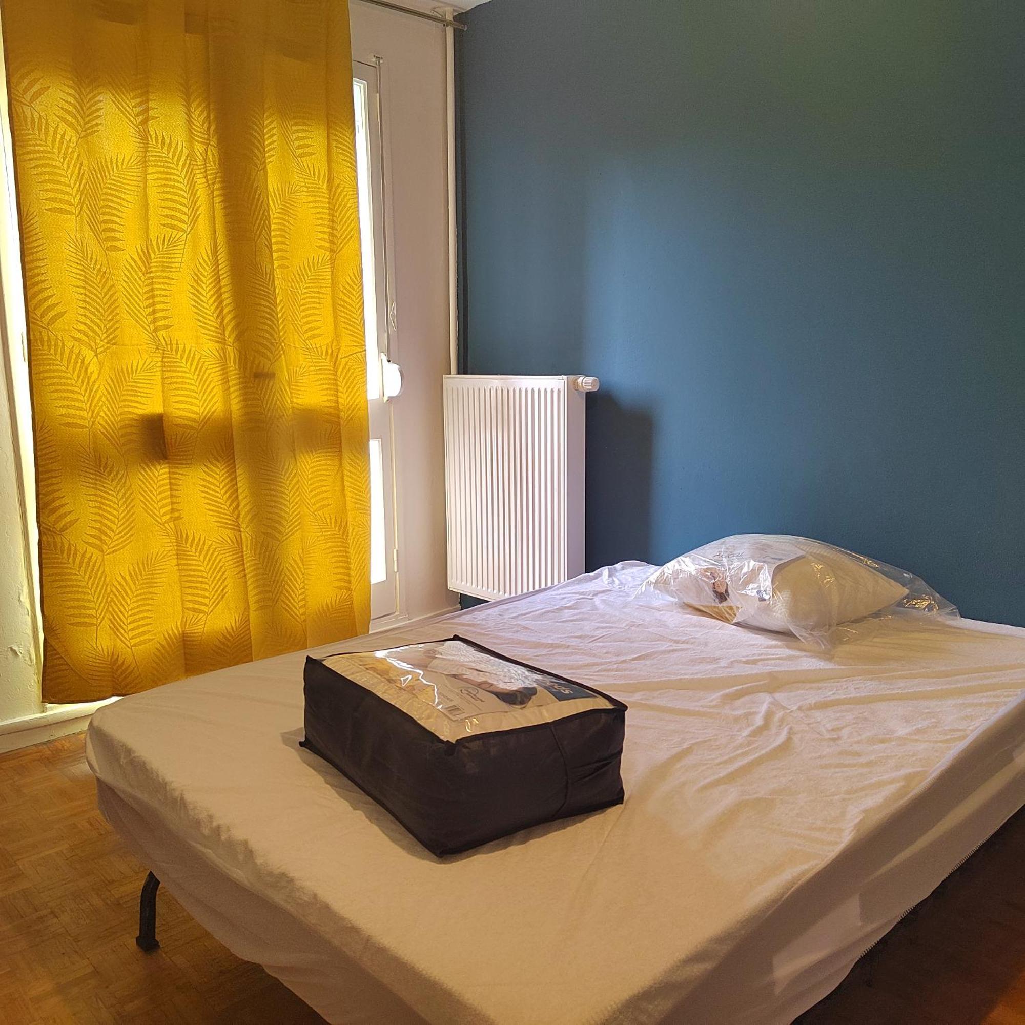 Chambre Dans Un Appartement En Colocation Rennes Zewnętrze zdjęcie